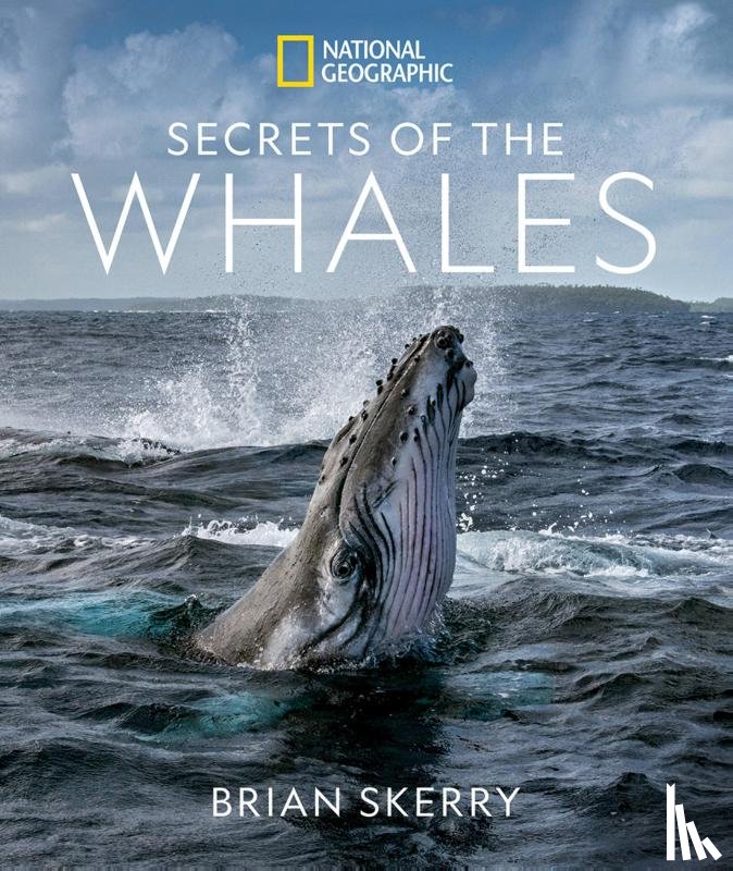 Skerry, Brian - Secrets of the Whales