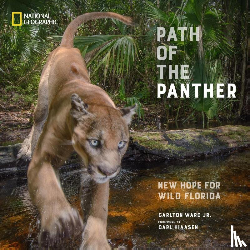 Ward, Carlton - Path of the Panther