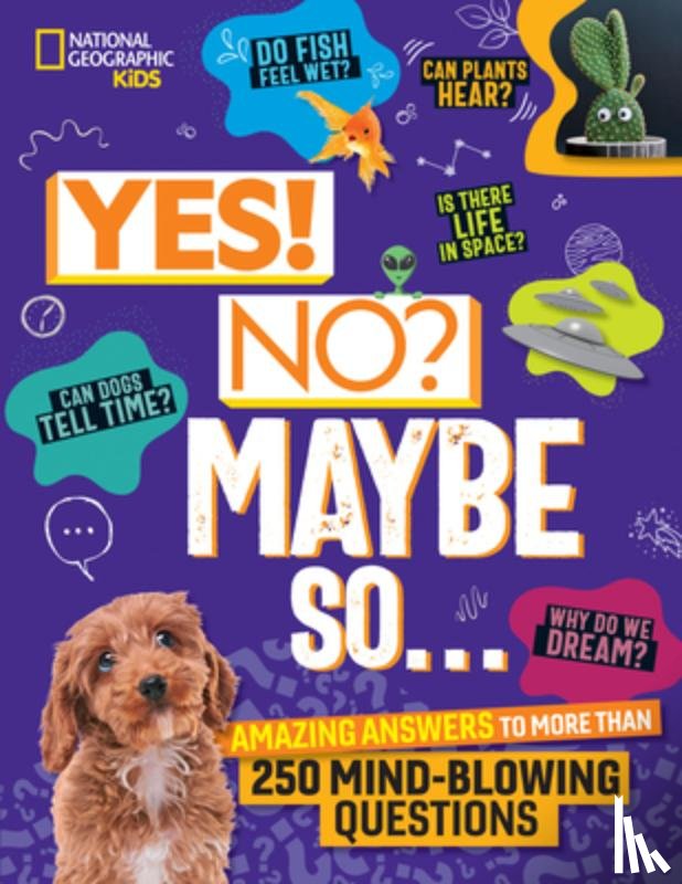 Beer, Julie - Yes! No? Maybe So...: Amazing Answers to More Than 250 Mind-Blowing Questions