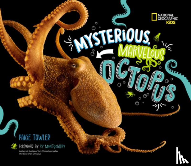 Towler, Paige - Mysterious, Marvelous Octopus!
