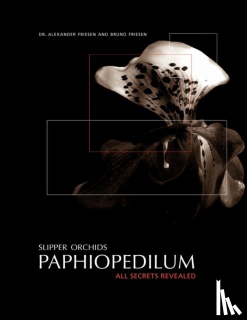 Bruno Friesen - Slipper Orchids, Paphiopedilum