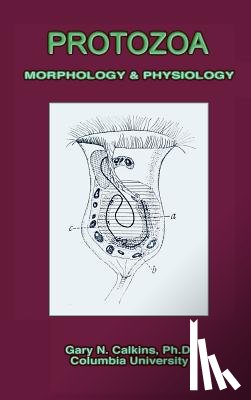 Calkins, Gary N. - Protozoa Morphology & Physiology (Microbiology Series)