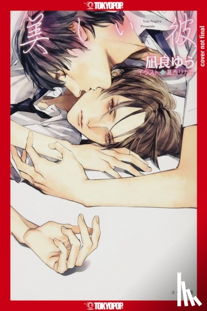 Nagira, Yuu, Kasai, Rikako - My Beautiful Man, Volume 1 (Light Novel)