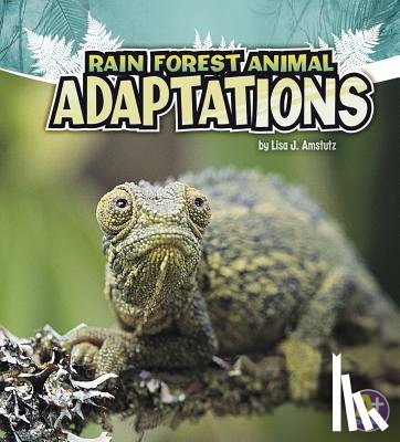 Amstutz, Lisa J. - Rain Forest Animal Adaptations