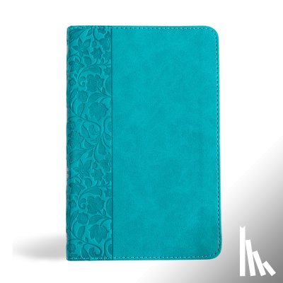 Holman Bible Publishers - NASB Personal Size Bible, Teal Leathertouch