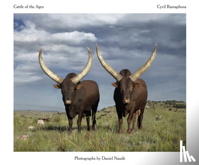 Naudé, Daniel, Ramaphosa, Matamela Cyril - Cattle of the Ages