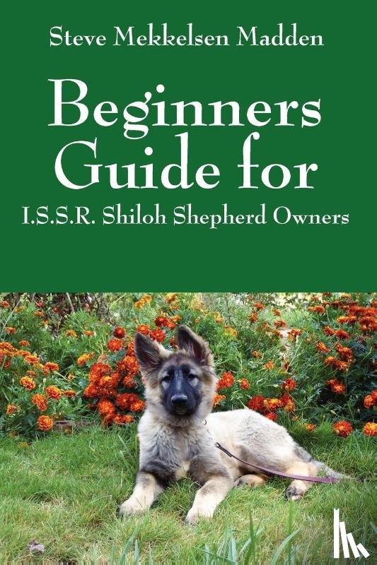 Madden, Steve Mekkelsen - Beginners Guide for