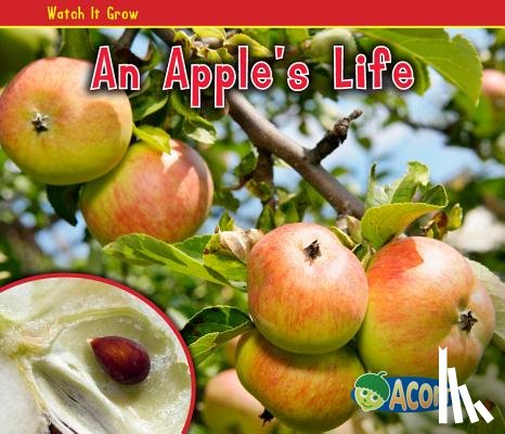 Dickmann, Nancy - An Apple's Life