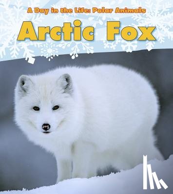 Marsico, Katie - Arctic Fox