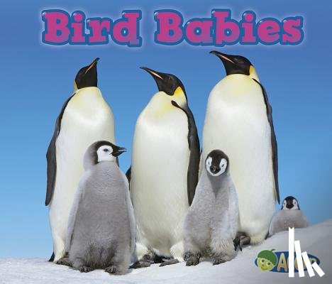 Veitch, Catherine - Bird Babies