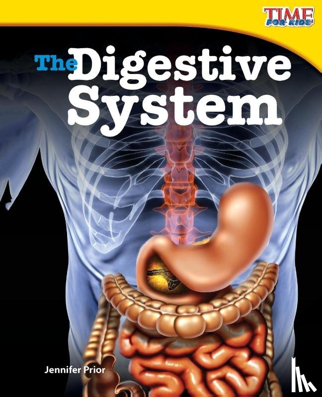 Prior, Jennifer - The Digestive System