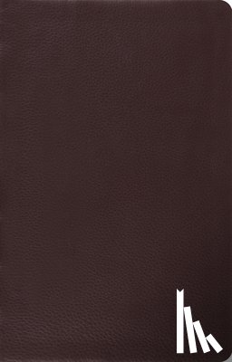 Crossway Bibles - ESV Large Print Thinline Reference Bible