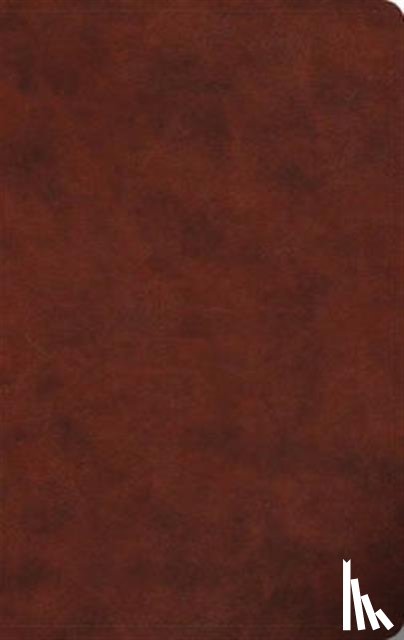 - ESV Large Print Value Thinline Bible