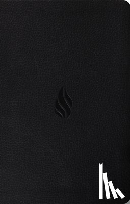 Crossway Bibles - Premium Gift Bible-ESV-Flame Design