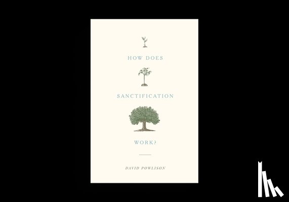 Powlison, David - How Does Sanctification Work?