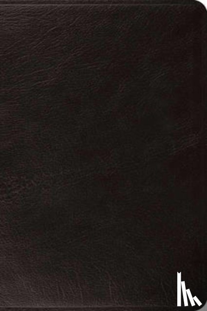  - ESV Large Print Bible