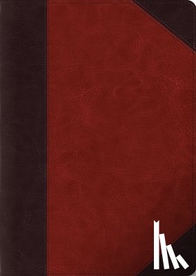  - ESV Study Bible, Large Print (TruTone, Brown/Cordovan, Portfolio Design)