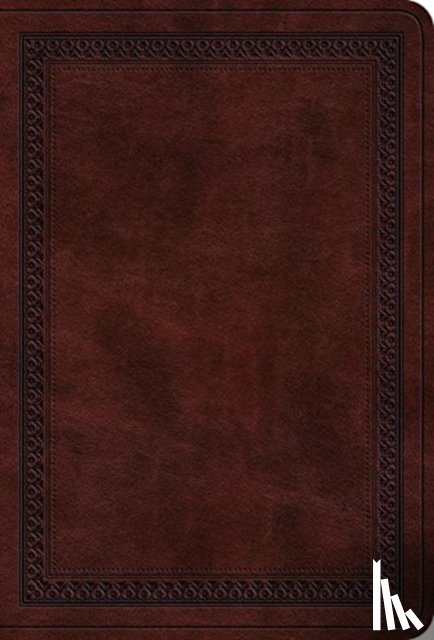  - ESV Value Large Print Compact Bible