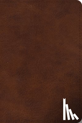  - ESV Large Print Bible