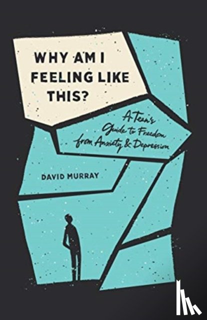 Murray, David - Why Am I Feeling Like This?