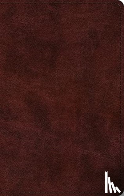 ESV - ESV Large Print Thinline Bible