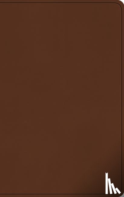 - ESV Large Print Value Thinline Bible