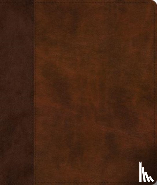  - ESV Journaling Bible