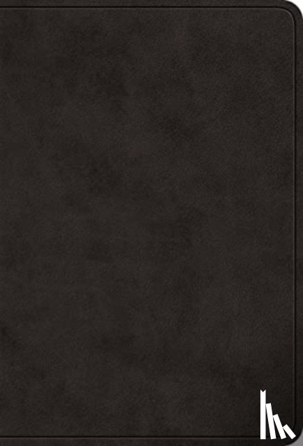  - ESV Value Large Print Compact Bible