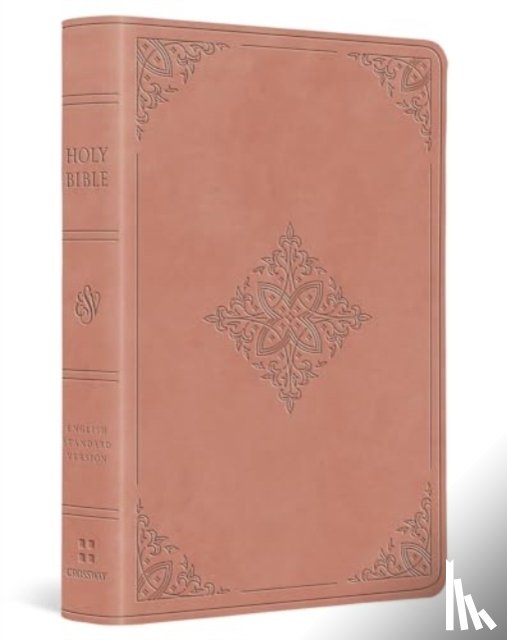  - ESV Value Large Print Compact Bible