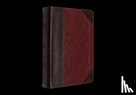 Esv Bibles - ESV Reader's Bible