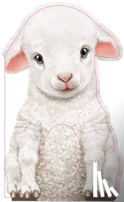 Annie Auerbach - Furry Lamb