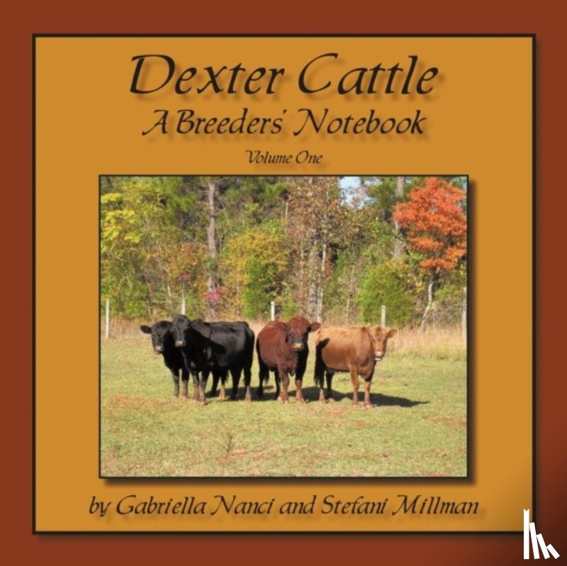 Nanci, Gabriella, Millman, Stefani - Dexter Cattle