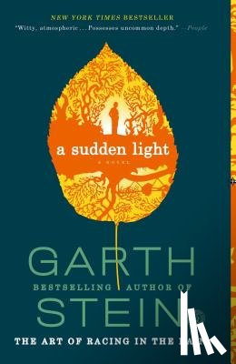 Stein, Garth - A Sudden Light