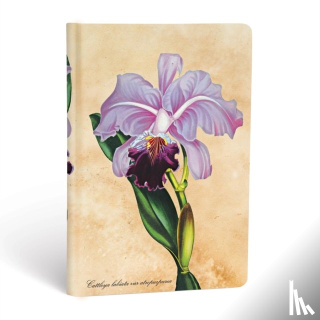 Paperblanks - Brazilian Orchid Mini Unlined Hardcover Journal