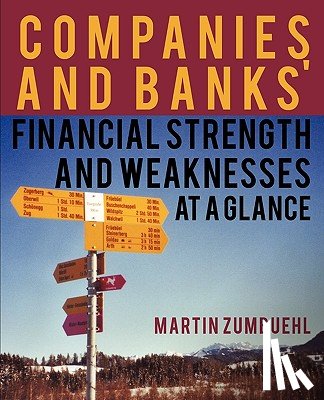 Zumbuehl, Martin - Companies and Banks' Financial Strength and Weaknesses at a Glance