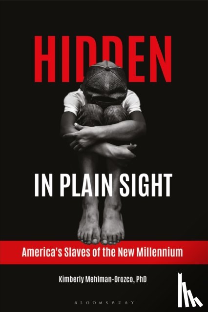 Mehlman-Orozco, Kimberly - Hidden in Plain Sight