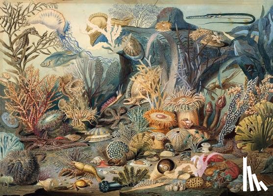 Peter Pauper Press, Inc - Puzzle Ocean Life