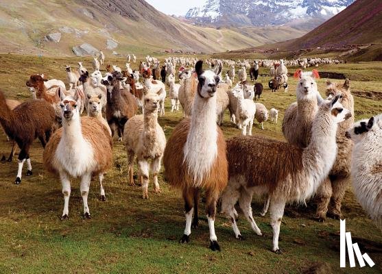 Peter Pauper Press, Inc - Puzzle Llamas