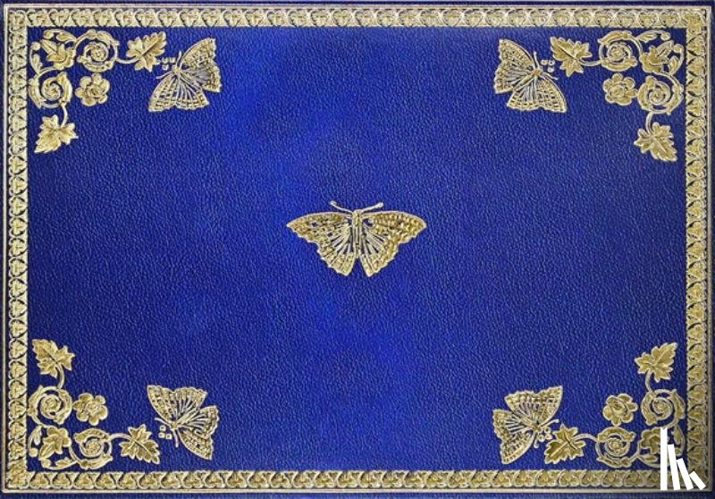 Peter Pauper Press Inc - Gilded Butterflies Note Cards (14 Cards, 15 Self-Sealing Envelopes)