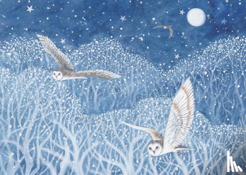  - Owls in Flight Deluxe Boxed Holiday Cards (20 Cards, 21 Self-Sealing Envelopes)