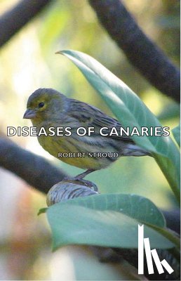Stroud, Robert - Diseases of Canaries