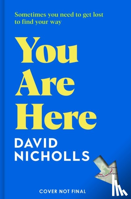 NICHOLLS DAVID - UNTITLED NICHOLLS 4