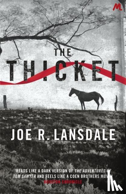 Lansdale, Joe R. - The Thicket