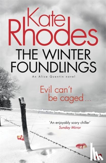 Rhodes, Kate - The Winter Foundlings