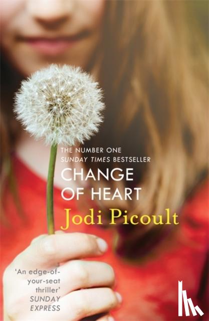 Picoult, Jodi - Change of Heart
