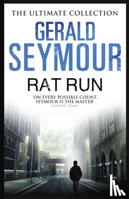 Seymour, Gerald - Rat Run