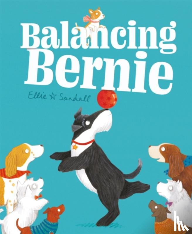 Sandall, Ellie - Balancing Bernie