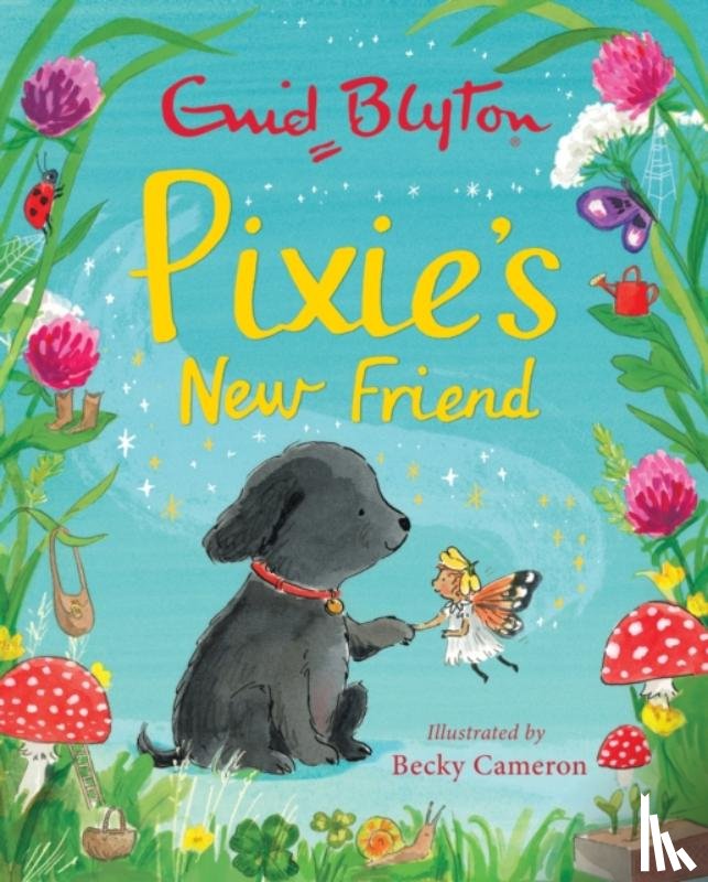 Blyton, Enid - Pixie's New Friend