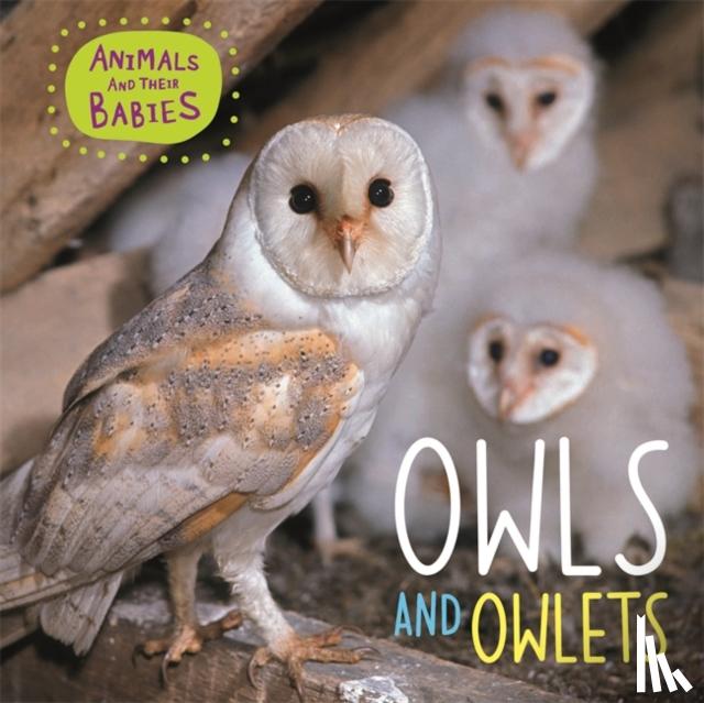 Lynch, Annabelle - Animals and their Babies: Owls & Owlets