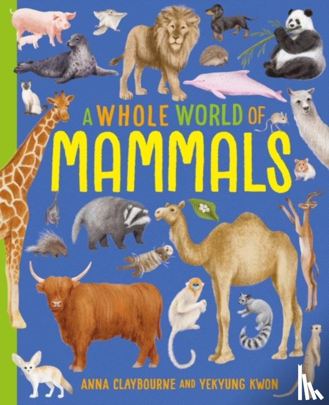 Claybourne, Anna - A Whole World of...: Mammals